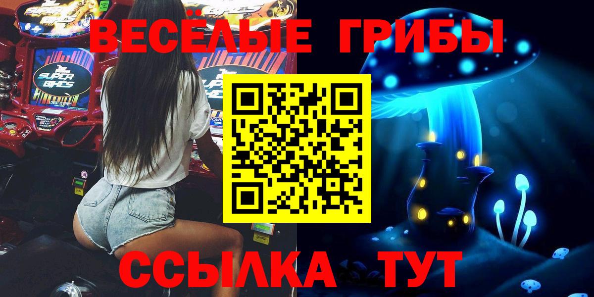 Псилоцибиновые грибы MAGIC MUSHROOMS  Галлюциногенные грибы Psilocybine cubensis  Гусиноозёрск  Вход с VPN 